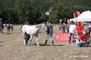 2009_09_06_Florac_remise_prix_(33)_GF.jpg