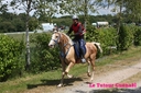 Corlay_10_juin_2011_-__cei_1_etoile__(42).jpg