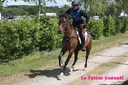 Corlay_10_juin_2011_-__cei_1_etoile__(45).jpg