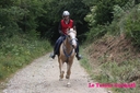 Corlay_10_juin_2011_-__cei_1_etoile__(53).jpg