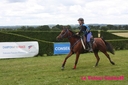 Corlay_10_juin_2011_-__cei_1_etoile__(58).jpg