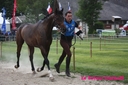 Corlay_10_juin_2011_-__cei_1_etoile__(62).jpg