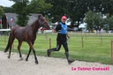 Corlay_10_juin_2011_-__cei_1_etoile__(63).jpg