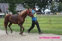 Corlay_10_juin_2011_-__cei_1_etoile__(67).jpg