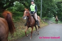 Corlay_13_juin_2011_-_regionale__(9).jpg