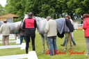 CORLAY_-_1_juin_2013_-_cei_2_(134).jpg