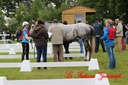 CORLAY_-_1_juin_2013_-_cei_2_(135).jpg