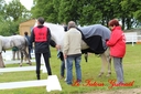 CORLAY_-_1_juin_2013_-_cei_2_(136).jpg
