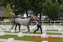 CORLAY_-_1_juin_2013_-_cei_2_(137).jpg