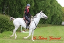 CORLAY_-_1_juin_2013_-_cei_2_(139).jpg