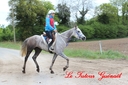 CORLAY_-_1_juin_2013_-_cei_2_(153).jpg