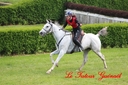CORLAY_-_1_juin_2013_-_cei_2_(188).jpg
