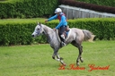CORLAY_-_1_juin_2013_-_cei_2_(195).jpg