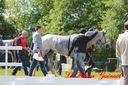 CORLAY_-_1_juin_2013_-_cei_2_(201).jpg