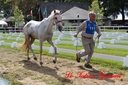 CORLAY_-_1_juin_2013_-_cei_2_(211).jpg