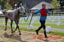 CORLAY_-_1_juin_2013_-_cei_2_(218).jpg