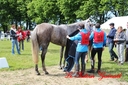 CORLAY_-_1_juin_2013_-_cei_2_(219).jpg