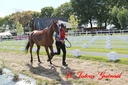 CORLAY_-_1_juin_2013_-_cei_2_(227).jpg