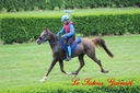 CORLAY_-_1_juin_2013_-_cei_2_(27).jpg