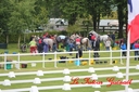 CORLAY_-_1_juin_2013_-_cei_2_(30).jpg