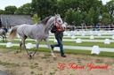 CORLAY_-_1_juin_2013_-_cei_2_(35).jpg