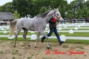 CORLAY_-_1_juin_2013_-_cei_2_(36).jpg