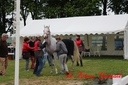 CORLAY_-_1_juin_2013_-_cei_2_(39).jpg