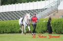 CORLAY_-_1_juin_2013_-_cei_2_(94).jpg