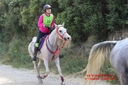 CORLAY_-_8_Aout_2015_-_cen_et_cei_2etoiles_(134).jpg