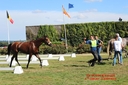 CORLAY_-_8_Aout_2015_-_cen_et_cei_2etoiles_(250).jpg