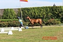 CORLAY_-_8_Aout_2015_-_cen_et_cei_2etoiles_(255).jpg