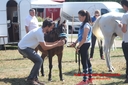 Corlay_-_19_aout_2018_(77).jpg